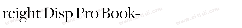 reight Disp Pro Book字体转换
